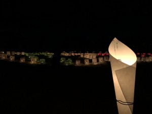 image115