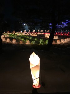 image33