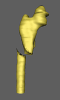 Split femur
