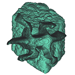 Reptile carved on a stone