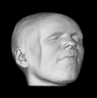 sculpted volumetric head